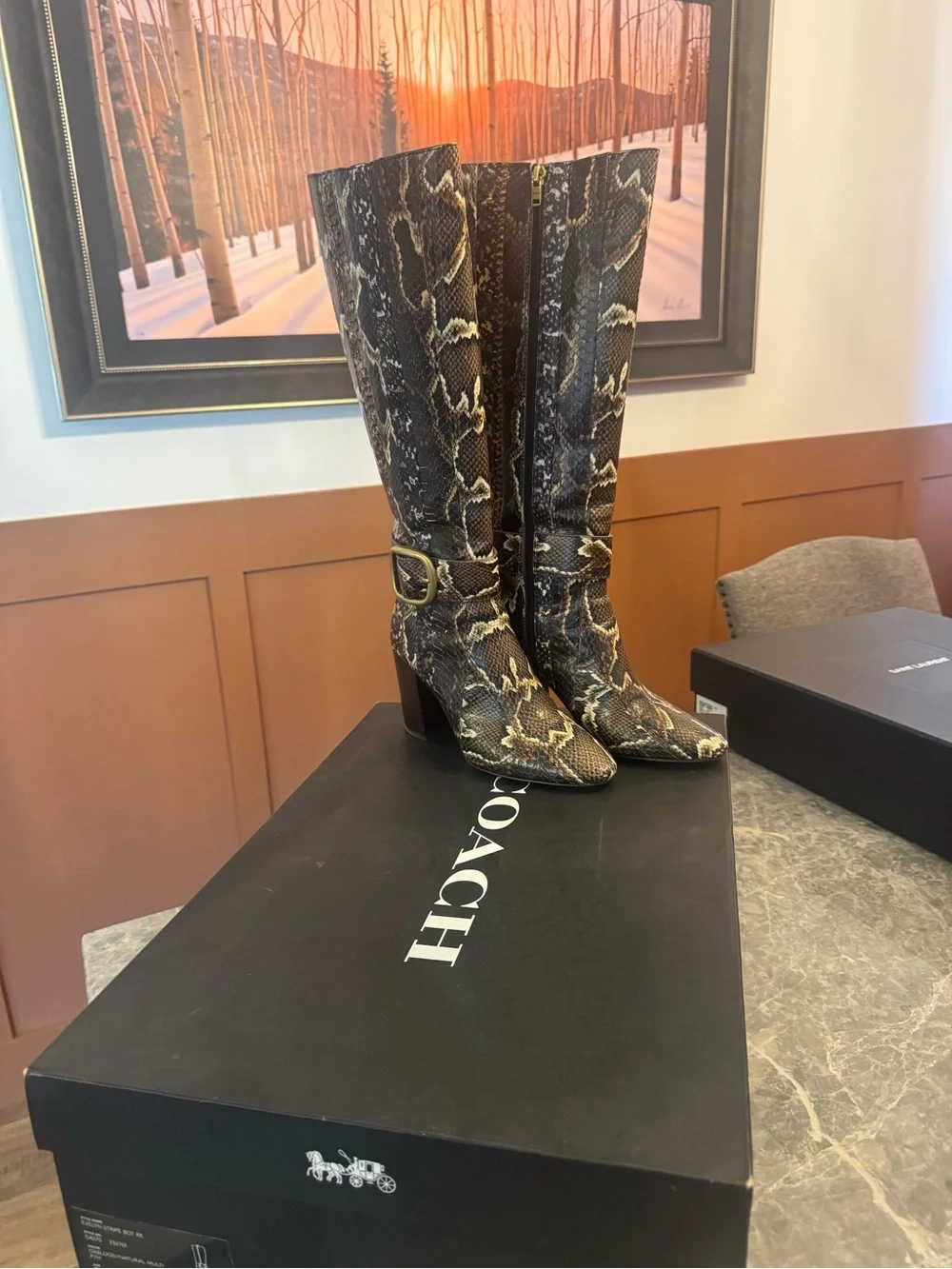 Coach Tall Snakeskin-Print Knee Boots in Brown and Black